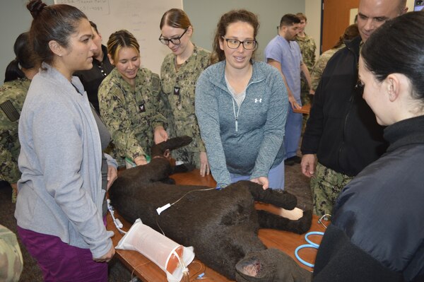 Canine Casualty Care Concern…Navy hospital corpsmen, along with Navy Medical Corps, Medical Service Corps and Nurse Corps officers assigned to Navy Medicine Readiness Training Unit Bangor, augmented their Tactical Combat Casualty Care proficiency learning from U.S. Army Veterinary Corps and animal care specialist about providing battlefield trauma care to military working dogs (Official Navy photo by Douglas H Stutz, NHB/NMRTC Bremerton public affairs officer).