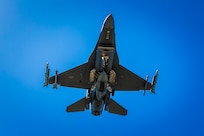Lone Star Gunfighters fly over