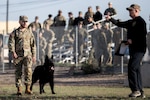 Department of Defense K9 Competition
