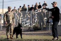 Department of Defense K9 Competition