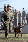Department of Defense K9 Competition