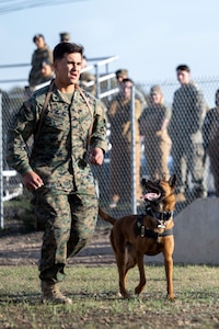 Department of Defense K9 Competition