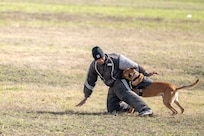 Department of Defense K9 Competition