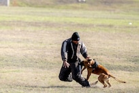 Department of Defense K9 Competition