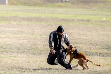Department of Defense K9 Competition