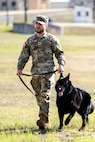 DOD K9 Competition