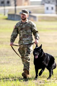 DOD K9 Competition
