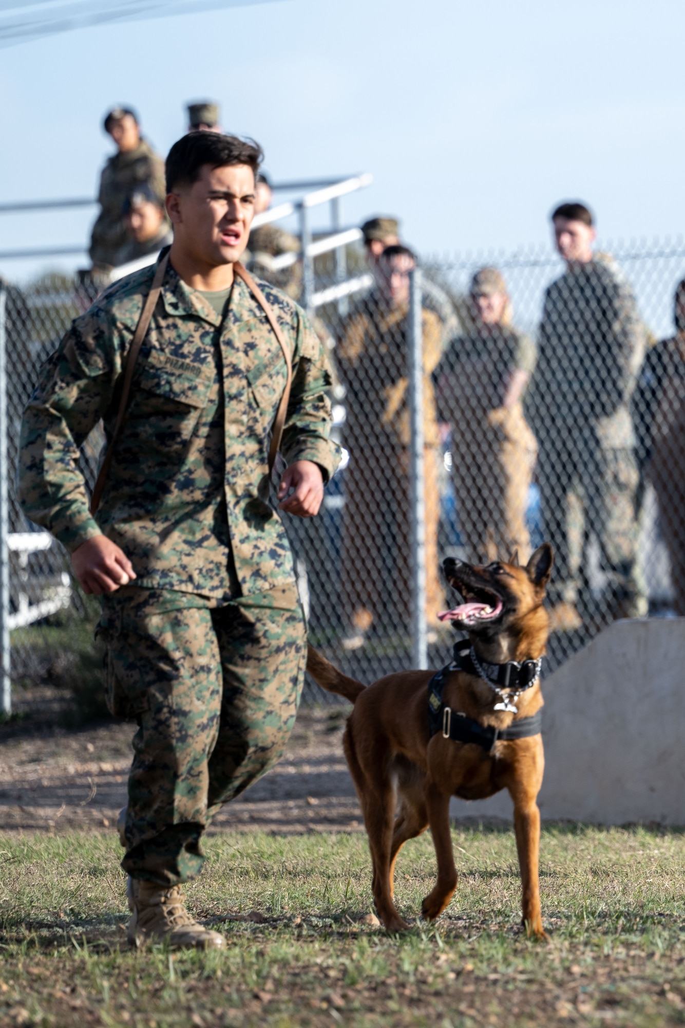 Department of Defense K9 Competition