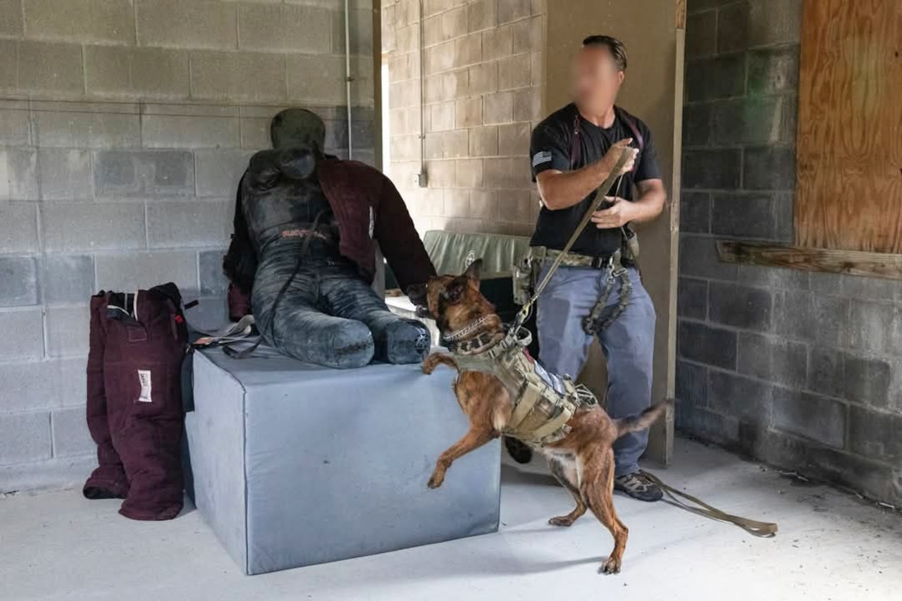 A soldier stands by his dog while it checks a human-shaped training dummy.