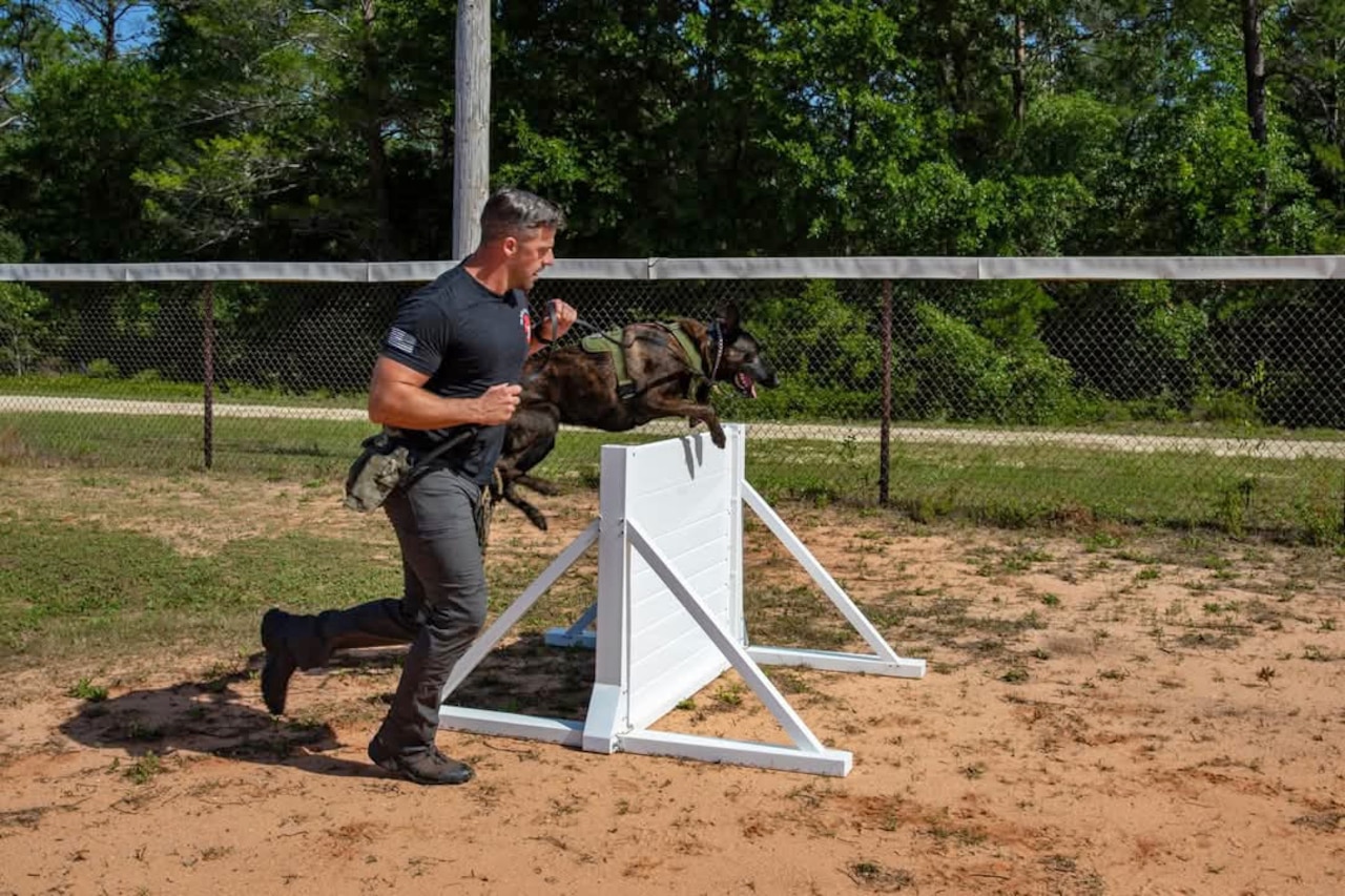 A soldier leads his dog through an outdoor obstacle course.