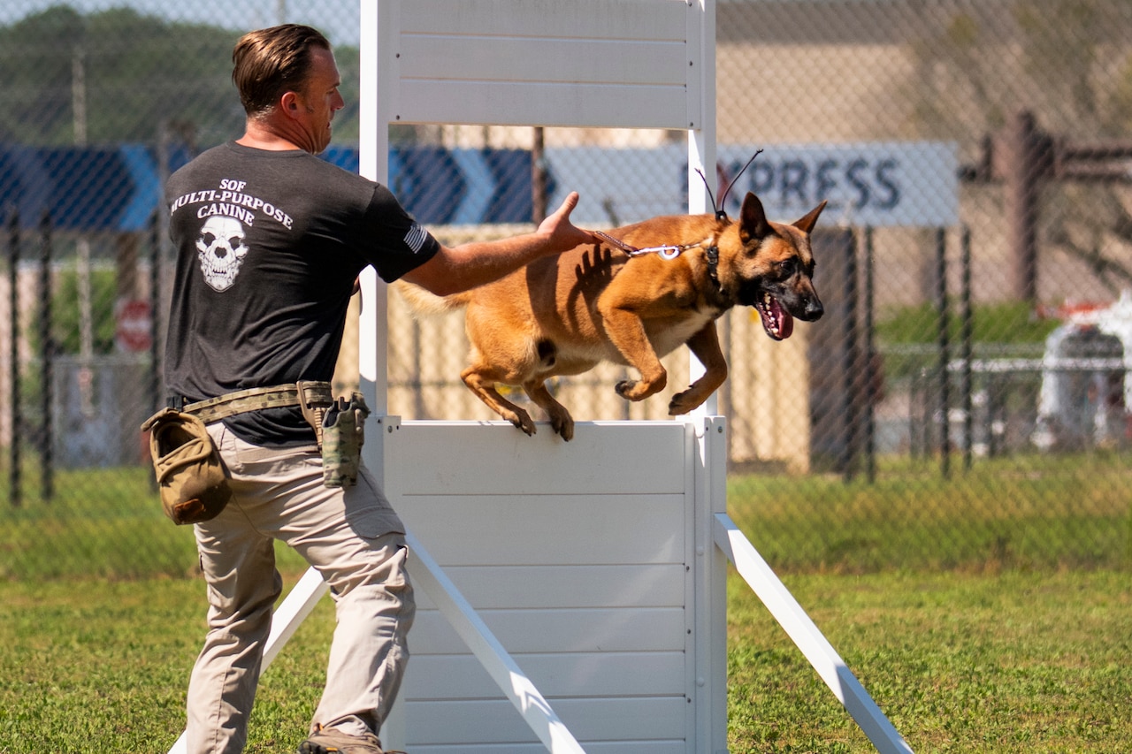 A soldier holds the leash as his dog jumps through on an outdoor obstacle.