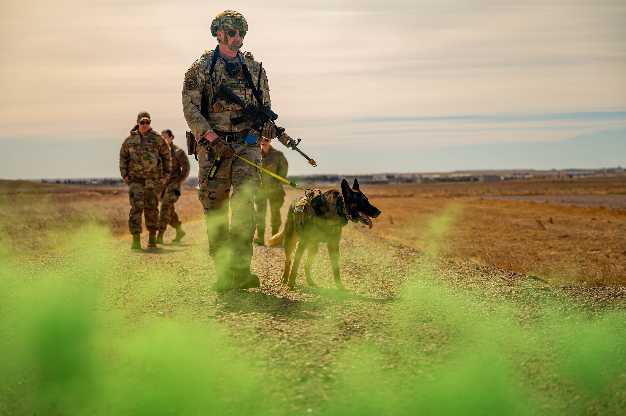Detection training is conducted to test and enhance MWD’s performance capabilities in simulated hostile environments. (U.S. Air Force photo by Airman 1st Class Hunter Kirkland)