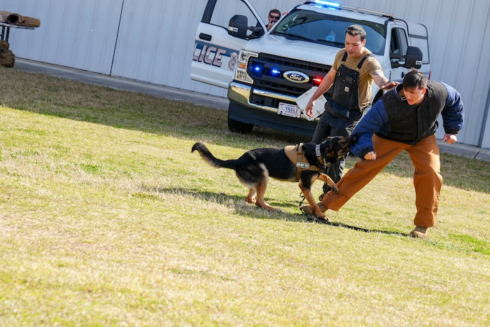 Pinto, a Military Working Dog from the 78th Security Force Squadron, engages Staff Sgt. Christian Foote, 78th MWD handler, as Staff Sgt. Steven Malone, 78th MWD handler, supervises.