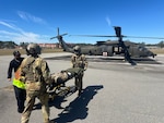 Fort Stewart Emergency Services and 3rd Combat Aviation Brigade medics transfer a simulated injured patient from 2nd Armored Brigade Combat Team between each other for transport to Winn Army Community Hospital emergency department for further care during a mass casualty exercise March 7. The exercise began with the armored brigade requesting aviation medical evacuation support. The two 3rd Infantry Division units participated in the capstone event for exercise Spartan Focus, one of the wickets in the armored brigade’s journey to being ready for its warfighter mission for deployment anytime, anywhere.