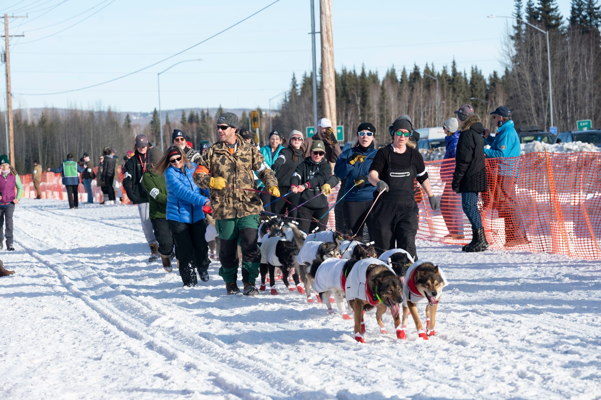 Iditarod sled dogs approach the start of the 2025 Iditarod Trail Sled Dog Race