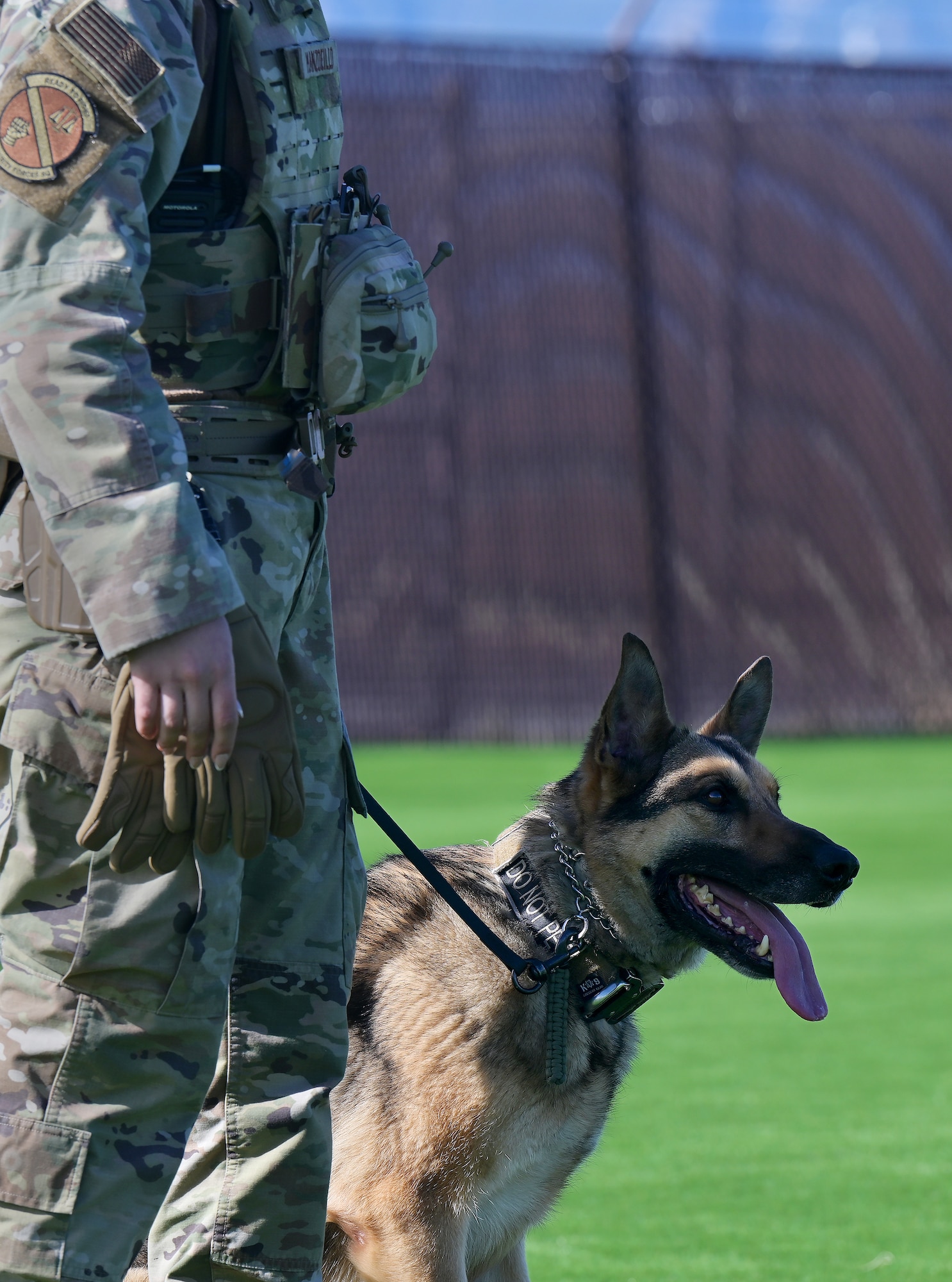 MWD handler with MWD demonstrating agility training