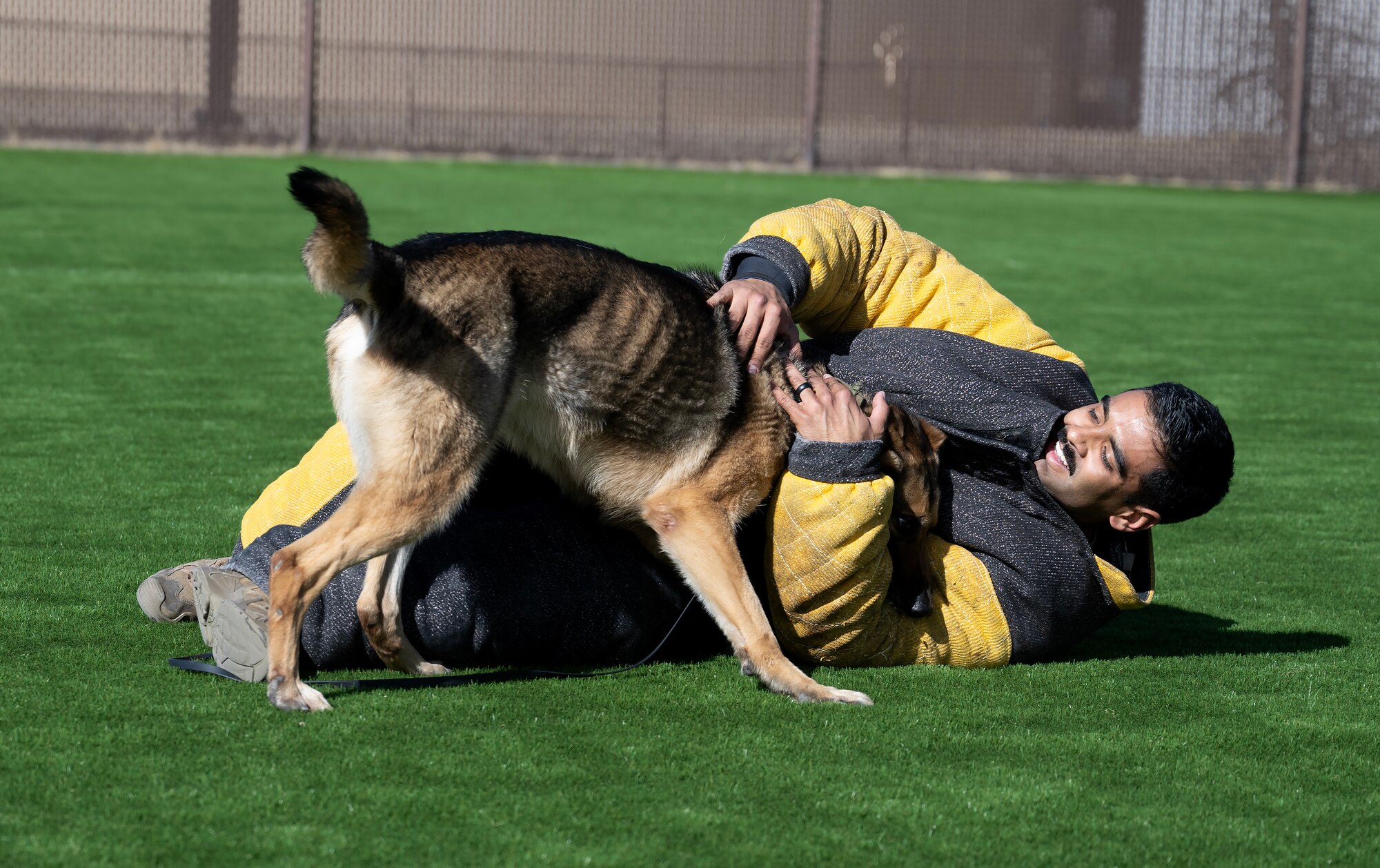MWD handler with MWD demonstrating agility training