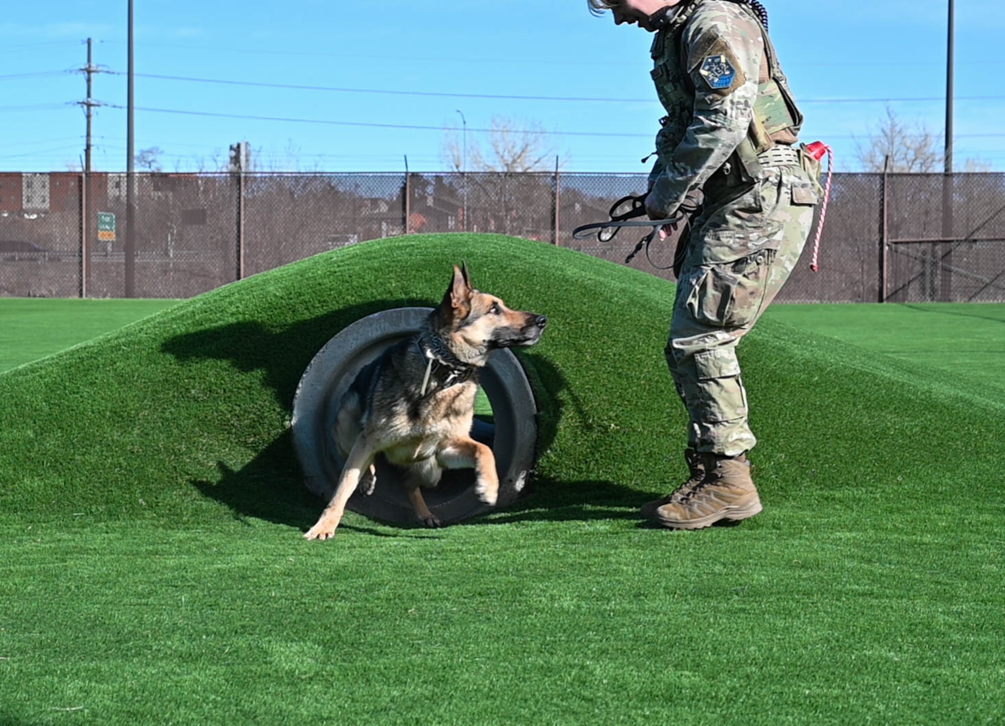 MWD handler with MWD demonstrating agility training