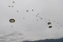 Japan Ground Self-Defense Force paratroopers assigned to the 1st Airborne Brigade descend from a U.S. Air Force C-130J Super Hercules assigned to the 36th Airlift Squadron over JGSDF East Fuji Maneuver Area, Japan, March 4, 2025, during Airborne 25.