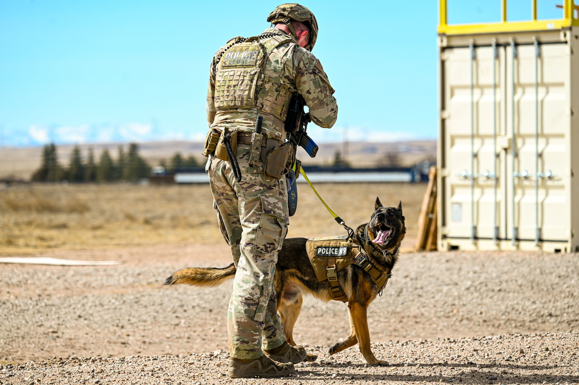 Detection training is conducted to test and enhance MWD’s performance capabilities in simulated hostile environments. (U.S. Air Force photo by Airman 1st Class Mattison Cole)