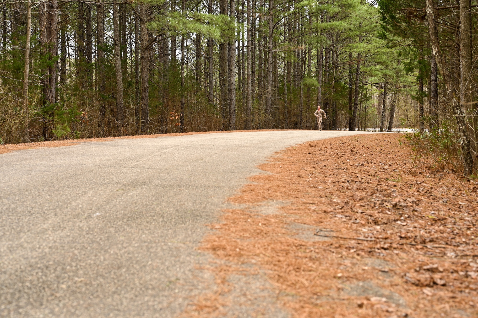 A Marine runs on a forest path to the finish line of ruck march.