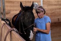502d Force Support Squadron Equestrian Center Facility