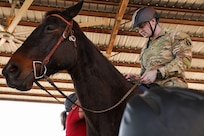 502d Force Support Squadron Equestrian Center