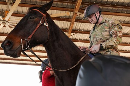 502d Force Support Squadron Equestrian Center