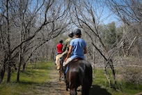 502d Force Support Squadron Equestrian Center