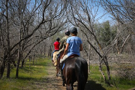 502d Force Support Squadron Equestrian Center