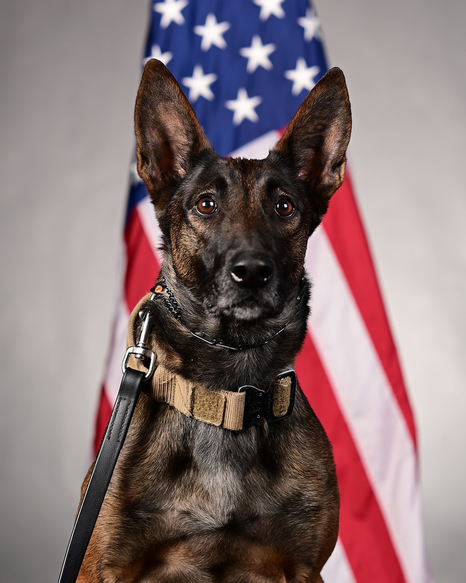 A military working dog handler and K9 pose for a photo.