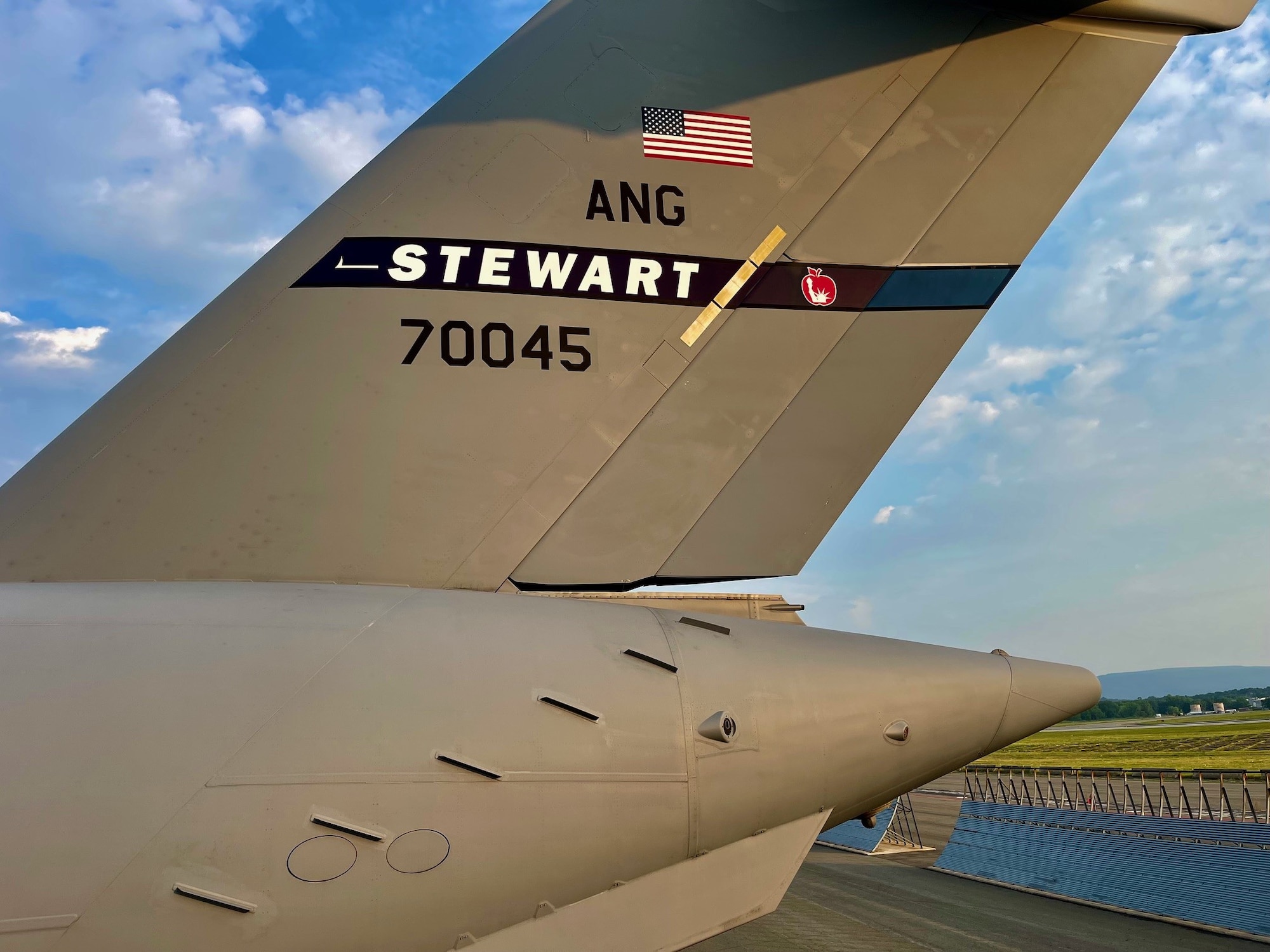 Microvanes for a A C-17 Globemaster III