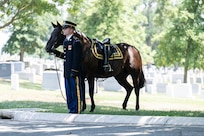 An Army Soldier in ceremonial dress uniform is holding the reigns of a dark brown horse while standing near tombstones at Arlington National Cemetery. There is a tall, black boot facing backwards in the stirrup of the horse.