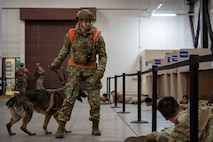 Airman conducts security operation