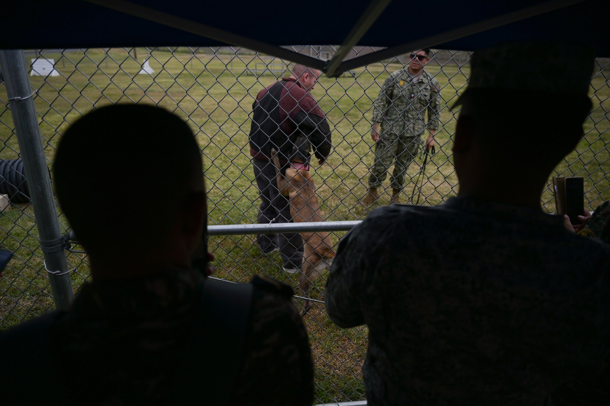 A military working dog demonstrates bite work to an audience.