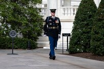 U.S. Army Soldier in dark blue ceremonial dress uniform is marching down a stone walkway with large green bushes on the sides, towards the Tomb of the Unknown Soldier during the changing of the guard ceremony.