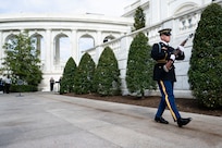 U.S. Army Soldier in dark blue ceremonial dress uniform is carrying a brown rifle in front of his chest as he marches down a stone walkway with large green bushes on the sides, towards the Tomb of the Unknown Soldier during the changing of the guard ceremony.