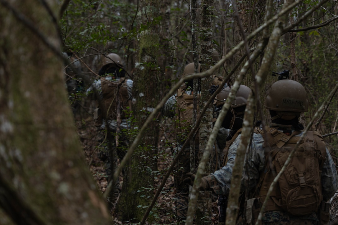 U.S. Marines with Marine Forces Reserve patrol through a tree line to assault a village during a field exercise on Camp Shelby Joint Forces Training Center, March 13, 2025. MARFORRES Marines conducted the exercise to maintain proficiency in warfighting, communication and leadership skills common to all Marines. (U.S. Marine Corps photo by Lance Cpl. Van Hoang)