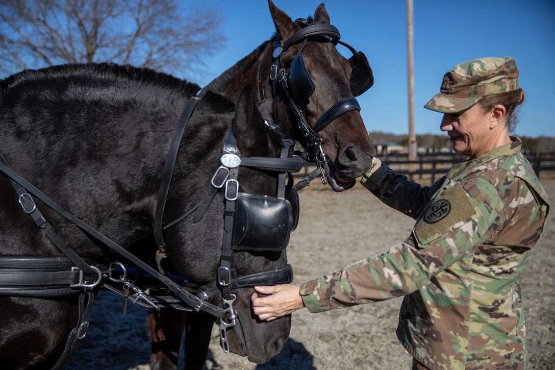 Army Reserve’s critical role in restoring Army’s Caisson Detachment