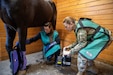 Army Reserve’s critical role in restoring Army’s Caisson Detachment