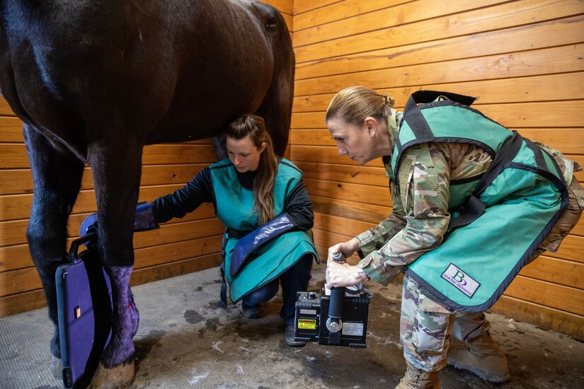 Army Reserve’s critical role in restoring Army’s Caisson Detachment