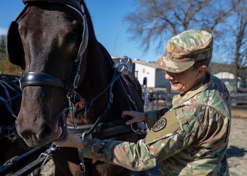 Army Reserve’s critical role in restoring Army’s Caisson Detachment