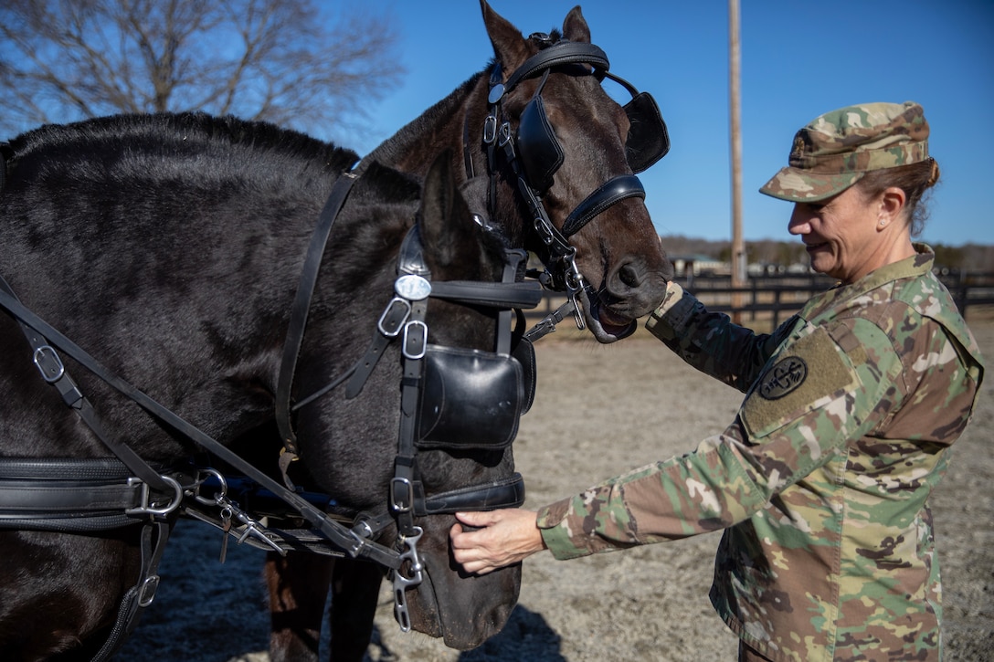 Army Reserve’s critical role in restoring Army’s Caisson Detachment