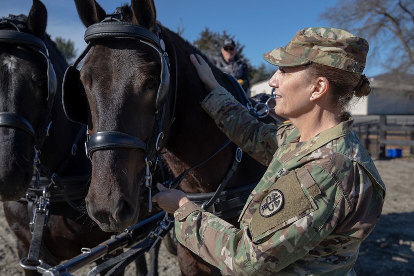 Army Reserve’s critical role in restoring Army’s Caisson Detachment