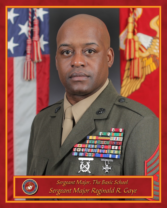 Sergeant Major Reginald R. Gaye Command Photo