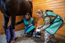 Army Reserve’s critical role in restoring Army’s Caisson Detachment