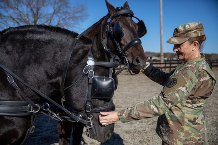 Army Reserve’s critical role in restoring Army’s Caisson Detachment