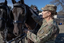 Army Reserve’s critical role in restoring Army’s Caisson Detachment