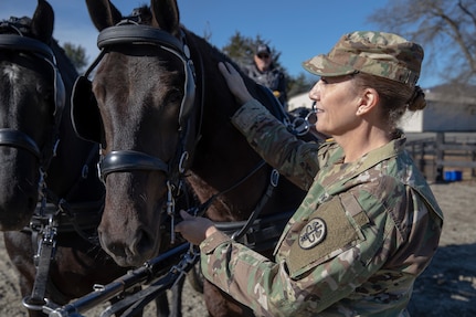 Army Reserve’s critical role in restoring Army’s Caisson Detachment