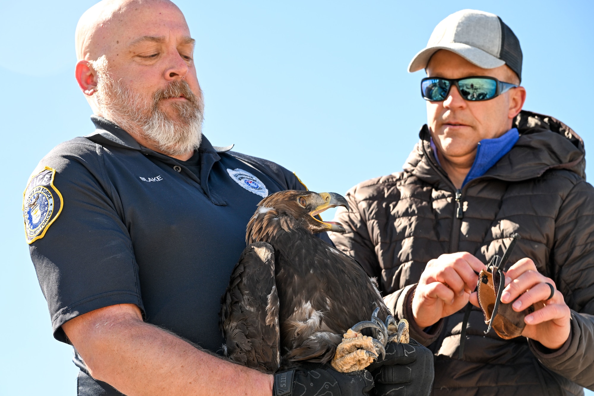 The eagle was found injured last fall, rehabilitated, and released back into the wild at the northern part of the range. (U.S. Air Force photo by Cynthia Griggs)
